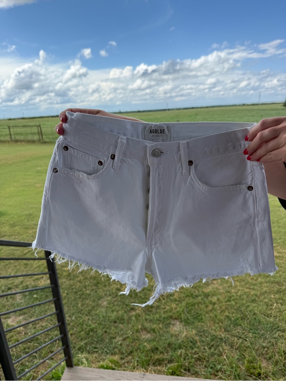 Agolde Parker Shorts